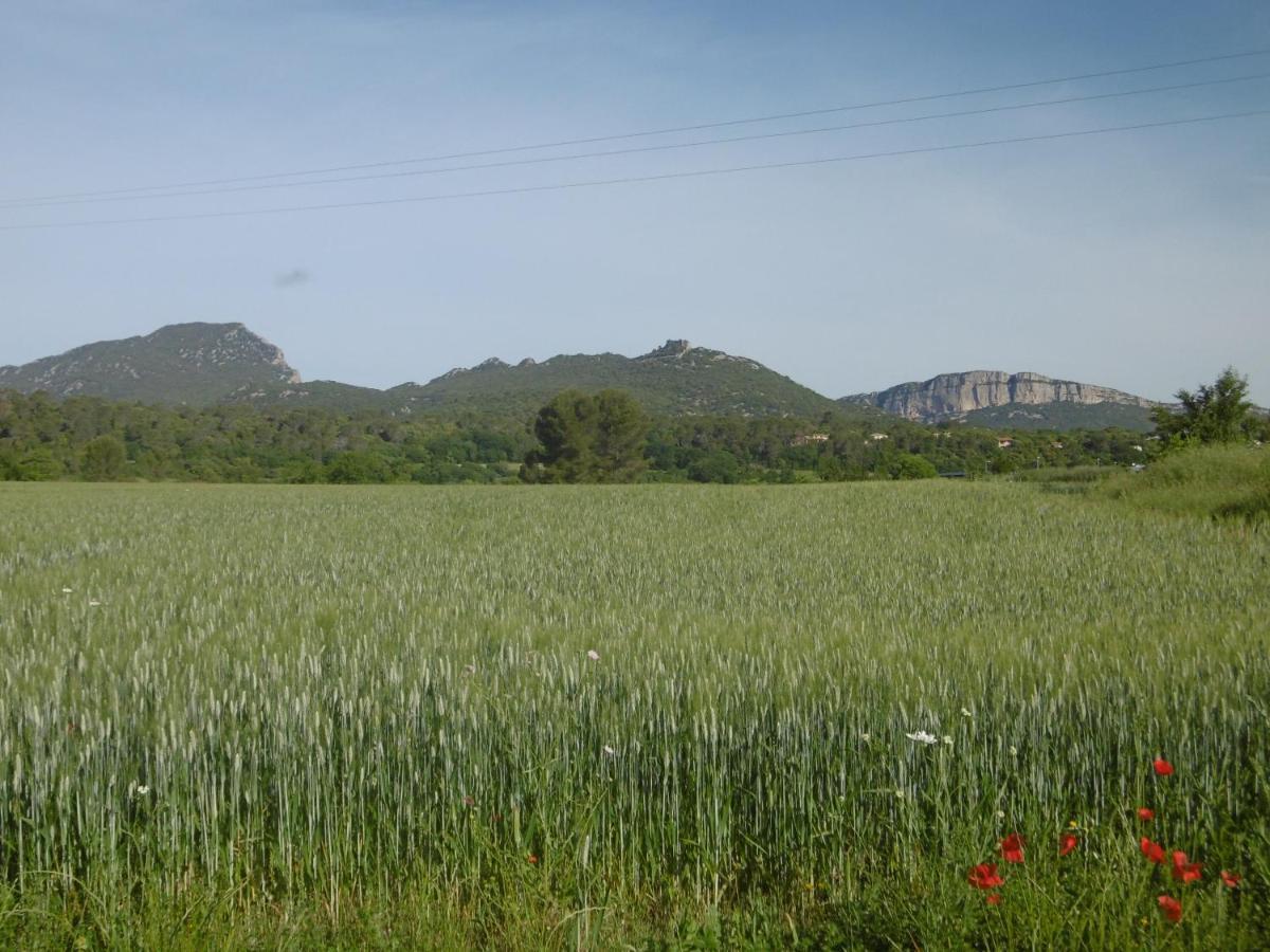Le Castellas Du Pic St Loup Saint-Mathieu-de-Treviers Exterior photo