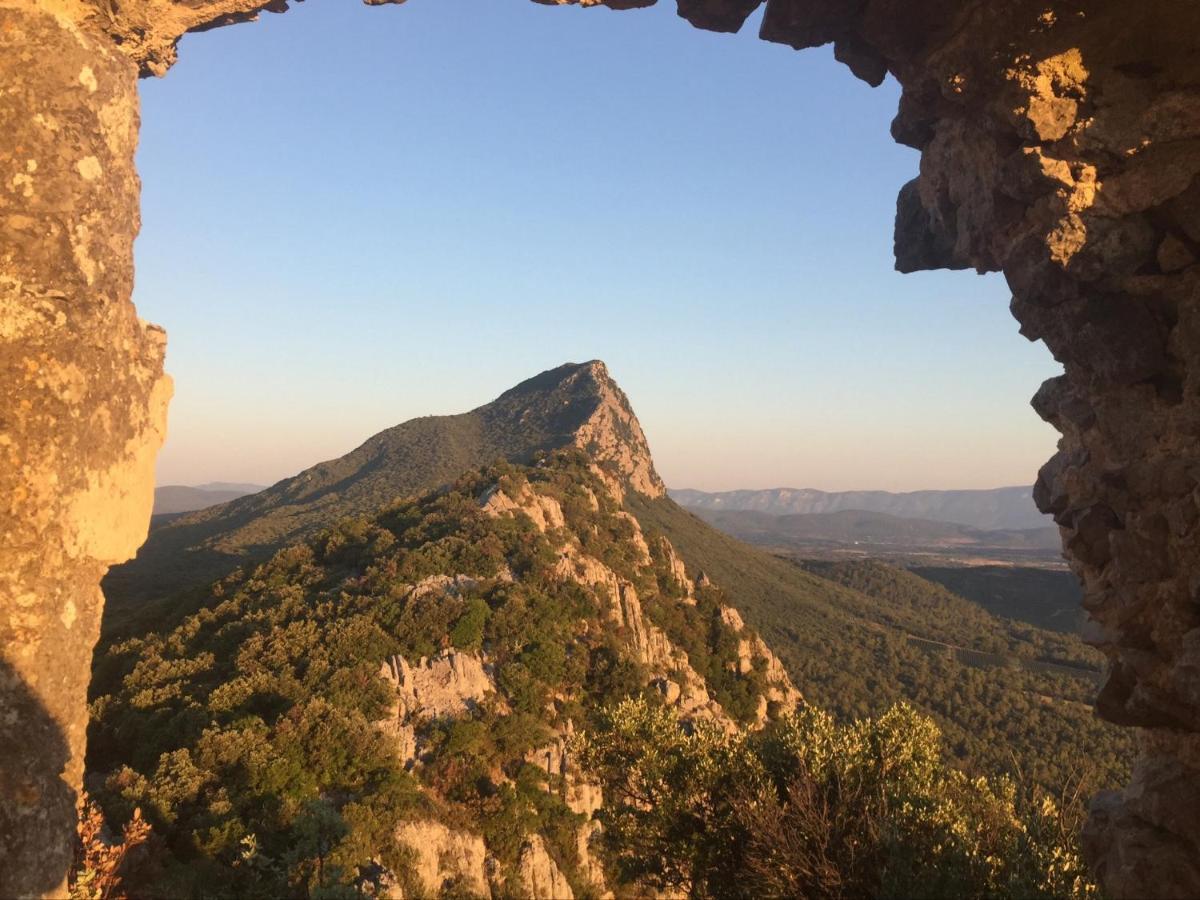 Le Castellas Du Pic St Loup Saint-Mathieu-de-Treviers Exterior photo