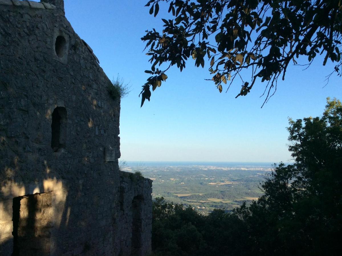 Le Castellas Du Pic St Loup Saint-Mathieu-de-Treviers Exterior photo